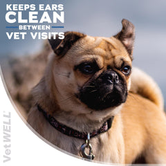 VetWELL lingette utilisée sur oreille de chien pour confort immédiat