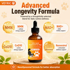 VEYRIC texture des gouttes vue rapprochée illustrant absorption et pureté