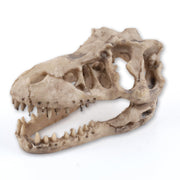 VibeNest crâne de dinosaure face avant comme point focal décoratif