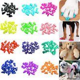 VICTHY boîte et contenu montrant 120 housses, colle et applicateurs pour protection