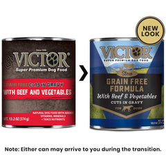 VICTOR gros plan des morceaux en sauce pour appétence et facilité de mastication