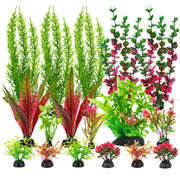 ViiWxx ensemble face montrant 18 plantes et couleurs vives