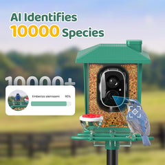 VIMKIM bol nourriture intégré pour nourrir et filmer oiseaux