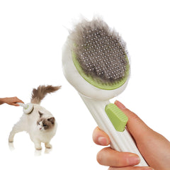 VIOJOJO brosse face avant montrant design ergonomique et efficacité