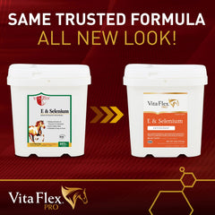 Vita Flex gros plan sur texture de poudre et bénéfice meilleure absorption