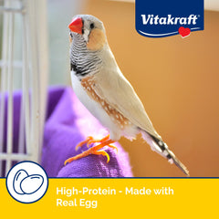 Vitakraft oiseau mange montrant appétence et comportement naturel