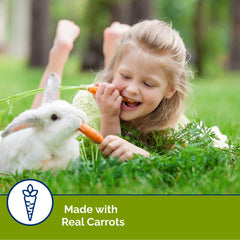 Gros plan sur la texture croquante des Slims Carrot Vitakraft pour mastication saine