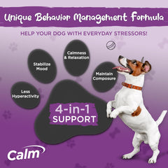 Vital Planet chien recevant friandise calmante, aide lors des situations stressantes