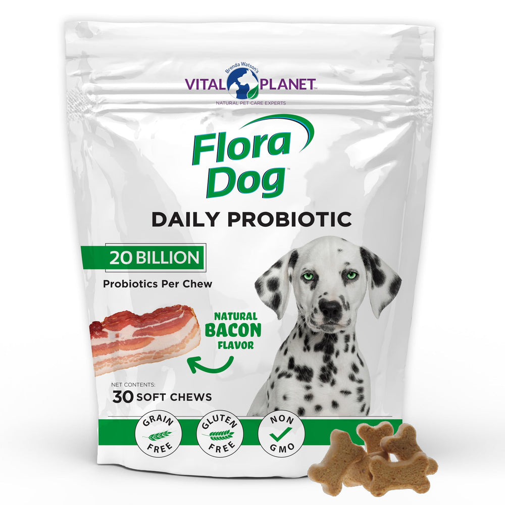 Vital Planet emballage avant montrant informations produit et bénéfices digestifs