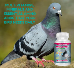 VITOFARMA comprimé gros plan, concentration contrôlée pour pigeons