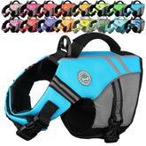 VIVAGLORY gilet chien face avant montrant coupe sports et confort