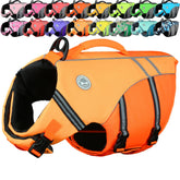 VIVAGLORY gilet chien face montrant maintien et visibilité