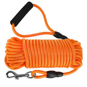 Vivifying laisse longue orange montrée emballée, visibilité et sécurité