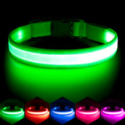 VIZPET collier LED face avant montrant la bande lumineuse pour meilleure visibilité