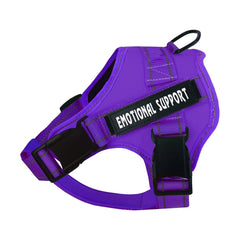 VOOPET gilet face avant montrant maintien et confort visible