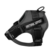 VOOPET gilet XXS avant montrant la coupe et le maintien, confort assuré