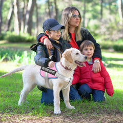 VOOPET harnais sur chien pendant promenade pour maintien anti-traction