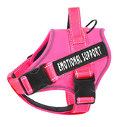 VOOPET harnais face avant montrant coupe ergonomique et confort
