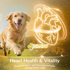 VUN bol avec portion pour chien comparé à une main pour échelle et dosage clair