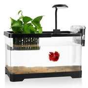 Wagrvuy aquarium vue de face montrant bac transparent et design compact