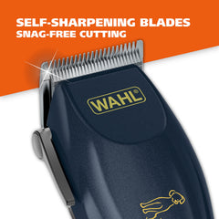 Wahl tondeuse en usage sur chien réduisant le temps de toilettage efficacement