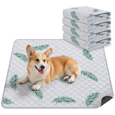 WanpeeGoo tapis face avant motif feuille protège et absorbe instantanément