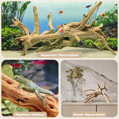 WDEFUN spiderwood en aquarium crée cachettes et relief pour poissons