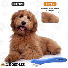 We Love Doodles peigne utilisé sur un chien, réduit nœuds et confort