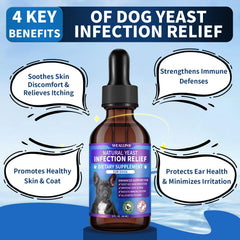 WEALLIN texture liquide des gouttes illustrant absorption rapide