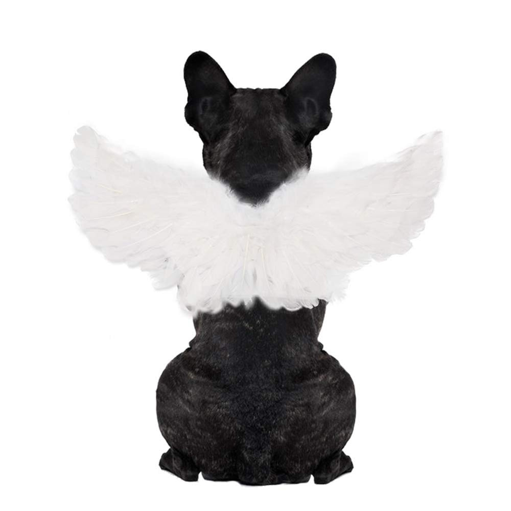 WeeH emballage des ailes blanches montrant dimensions et contenu, facile à préparer