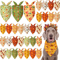 Weewooday emballage avant du lot de 50 bandanas montrant l'assortiment automnal et la quantité