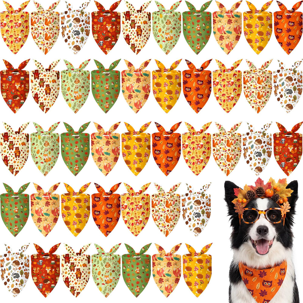 Weewooday emballage avant montrant lot de 50 bandanas automne, pratique