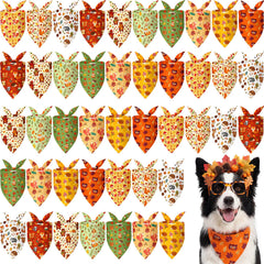 Weewooday emballage avant montrant lot de 50 bandanas automne, pratique
