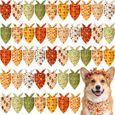 Weewooday devant packaging lot de 50 bandanas automne pratique