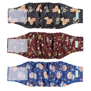 wegreeco ceinture-culotte face montrant le maintien et protection