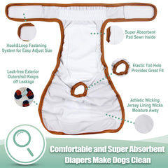 wegreeco petite chienne portant la couche confort et protection