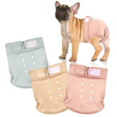 wegreeco couche frenchie face avant montrant coupe et maintien confortable