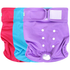 wegreeco culotte féminine vue de face montrant coupe et maintien pour confort