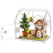 WEIKEJINA terrarium vue de face montrant clarté et visibilité pour observation