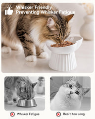 Chat utilisant la gamelle Wellbro pour boire, réduction du frottement des moustaches