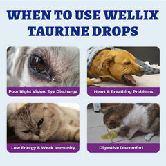 Texture liquide Wellix montrée en gros plan pour mélange homogène