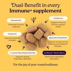 WellJoy gros plan sur la texture d'une bouchée montrant appétence et consistance attractives