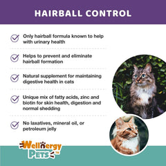 Wellnergy Pets coupe transversale de la friandise pour visualiser fibres et nutriments
