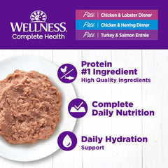 Wellness boîte ouverte avec pâté appétent et bénéfice hydratation