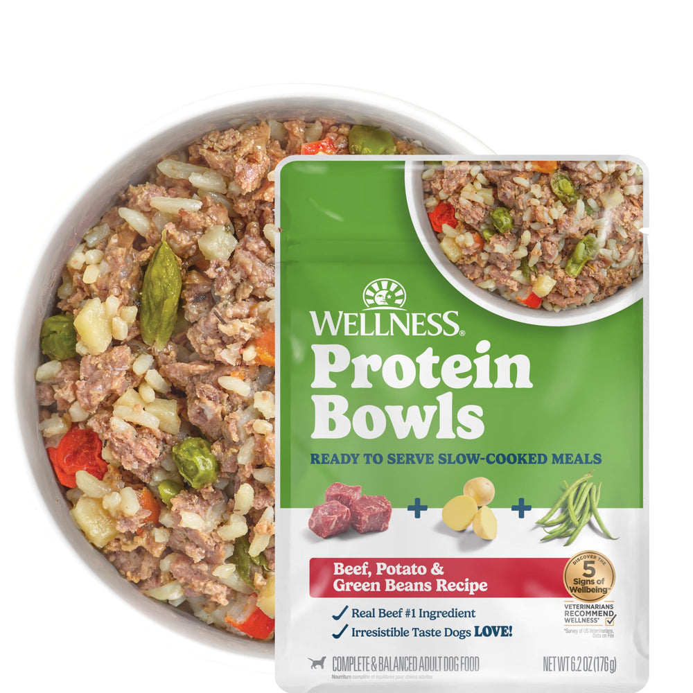 Wellness sachet front packaging montrant ingrédients et praticité