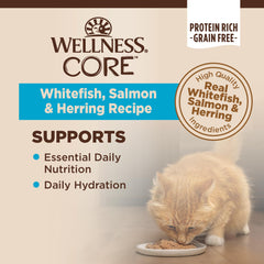 Wellness pâté servie dans une assiette propre pour une présentation appétente