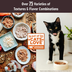 Wellness CORE pâté gros plan montrant la texture lisse et appétente pour chat