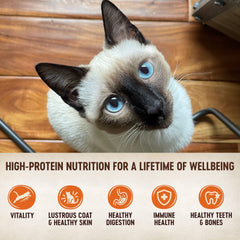 Wellness pâté texture lisse montrant l'appétence et richesse en protéines