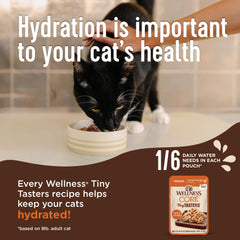 Wellness nourriture servie dans une assiette illustrant appétence et hydratation