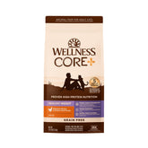 Wellness sachet avant montrant packaging et bénéfice gestion du poids
